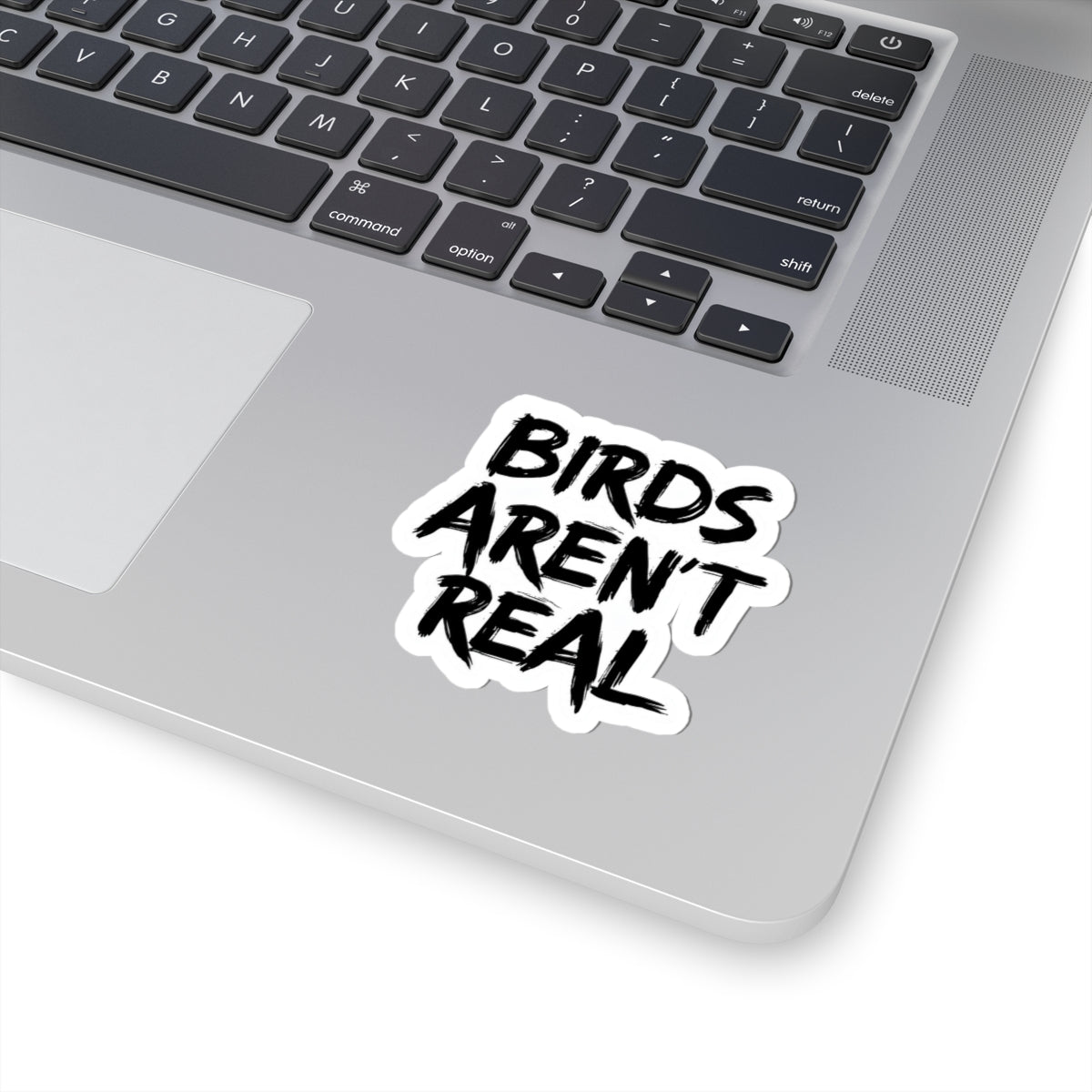 Birds Aren't Real Kiss-Cut Stickers | Fun & Quirky Vinyl Decals for Laptop, Water Bottle & Phone