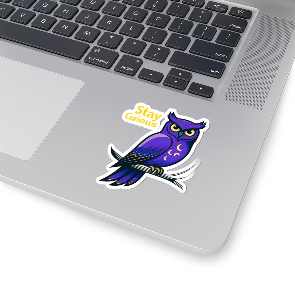 Stay Curious Owl Kiss-Cut Stickers - Inspirational Vinyl Decals for Laptops and Journals