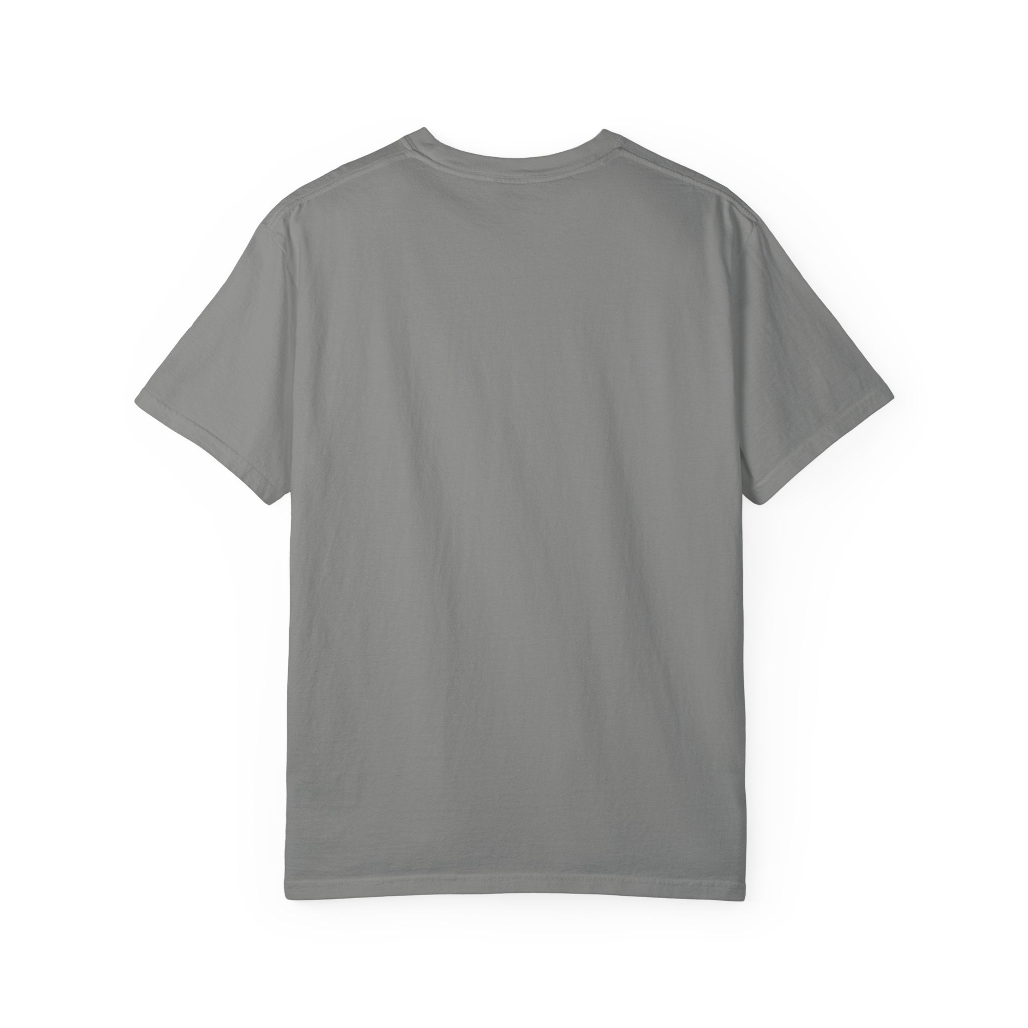 Cool Christmas Llama T-Shirt