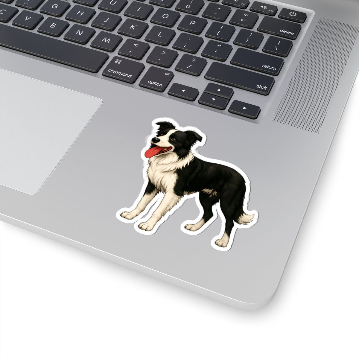 Custom Dog Kiss-Cut Stickers, Adorable Border Collie, Pet Lover Decor, Laptop Stickers, Dog Owner Gifts, Cute Animal Stickers