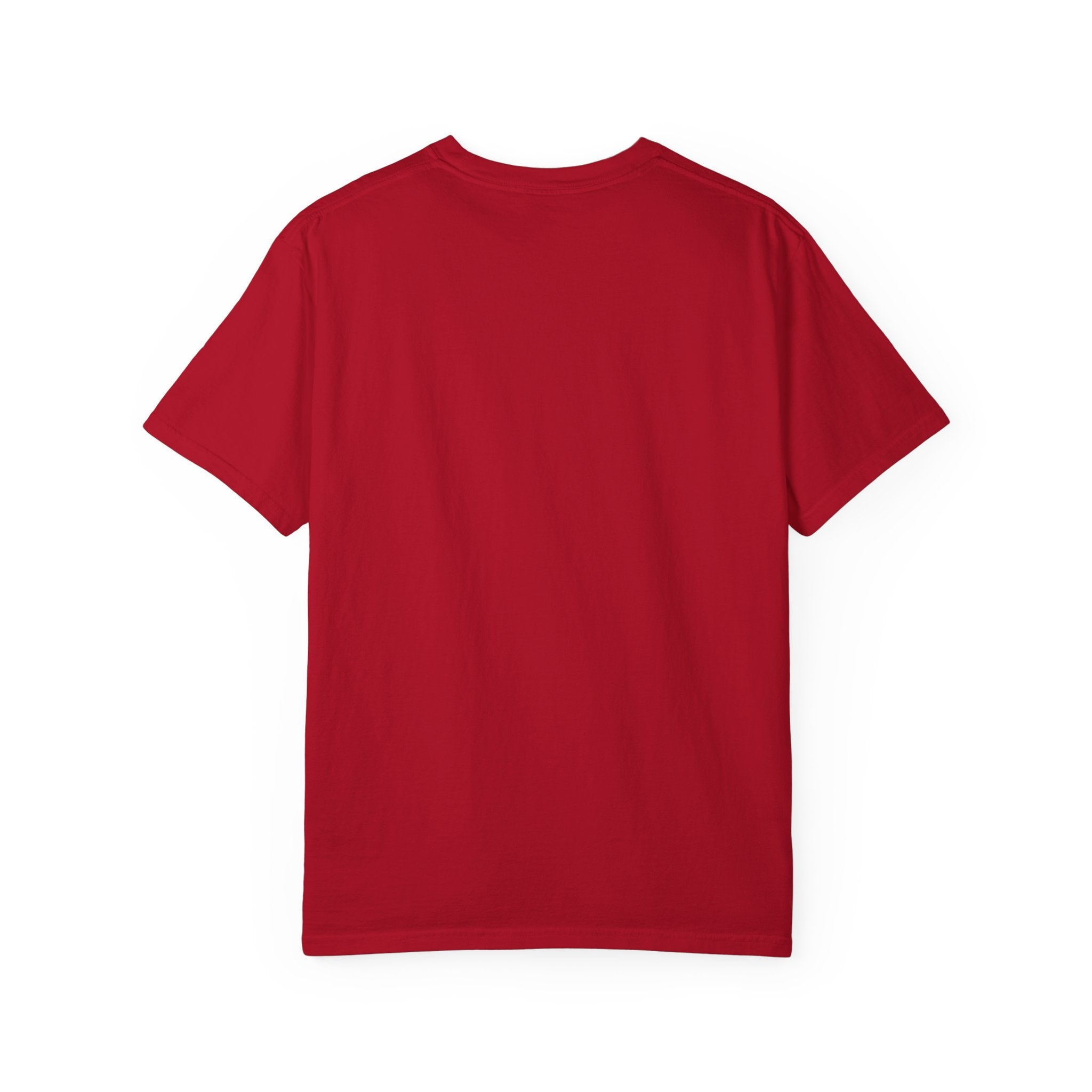 Cool Christmas Llama T-Shirt