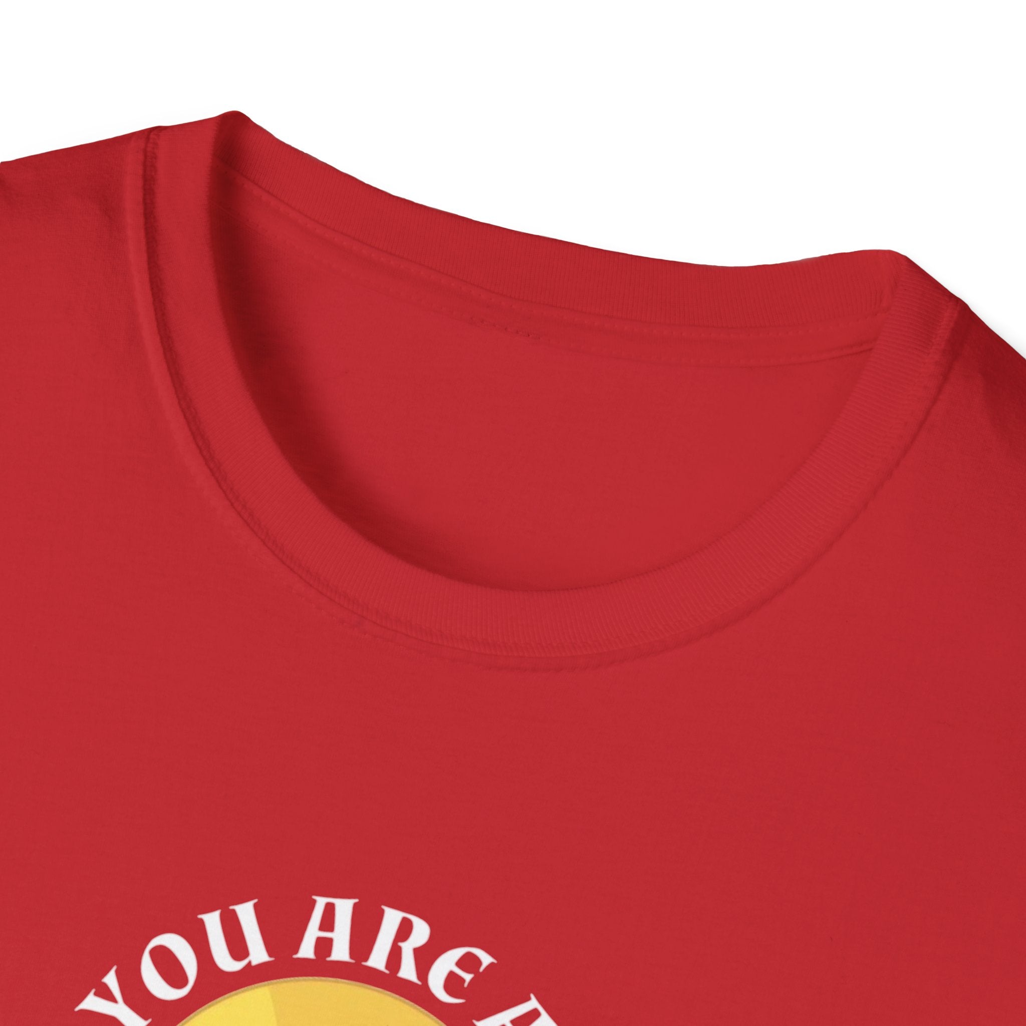 Humorous Unisex Softstyle T-Shirt: 'You Are All Disappointments'