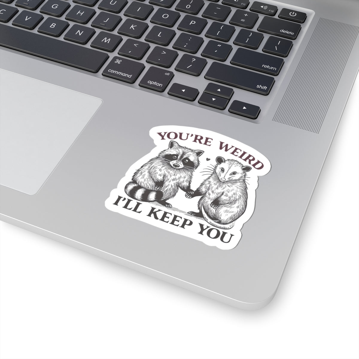 Cute Animal Kiss-Cut Stickers | You're Weird I'll Keep You | Great Gift for Friends, Cute Decor, Laptop Stickers, Animal Lovers