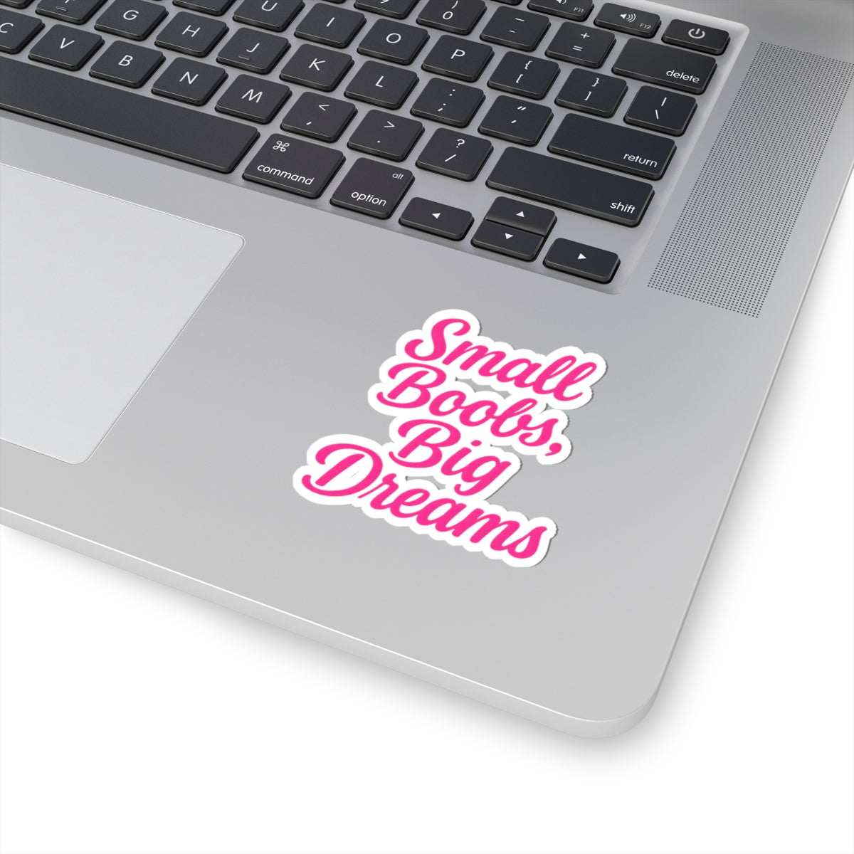 Fun Kiss-Cut Stickers - "Small Boobs, Big Dreams" - Perfect for Laptops, Water Bottles, and More!