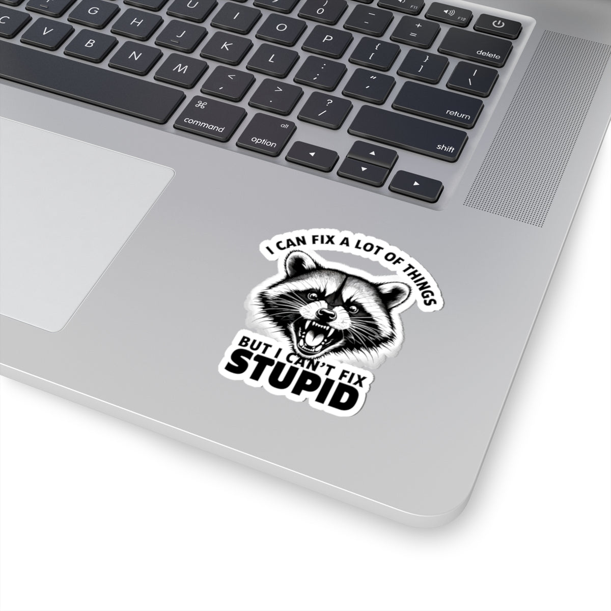 Funny Raccoon Kiss-Cut Stickers - "I Can Fix a Lot of Things, But I Can't Fix Stupid"